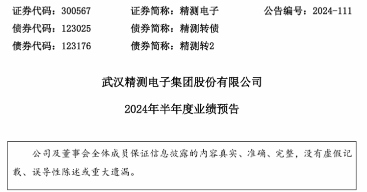 j9九游會登錄入口首頁精測電子2024年上半年預計凈利450